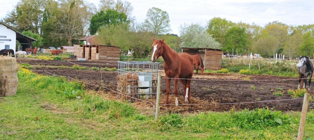 Les Du 3* * Aureilhan (Landes)